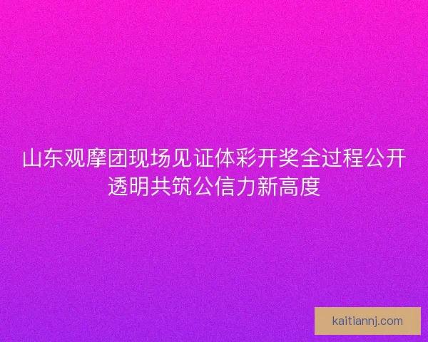 山东观摩团现场见证体彩开奖全过程公开透明共筑公信力新高度 山东观摩团现场见证体彩开奖全过程公开透明共筑公信力新高度